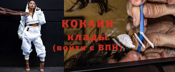 мдпв Вяземский