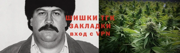 мдпв Вяземский