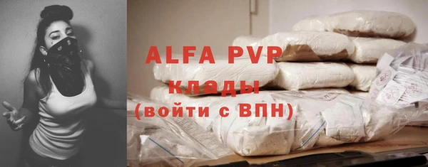 мдпв Вяземский