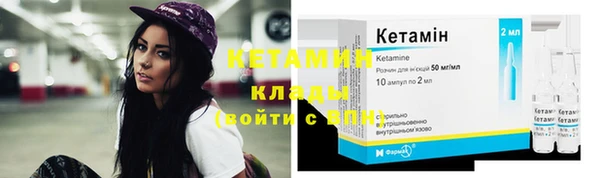 мдпв Вяземский