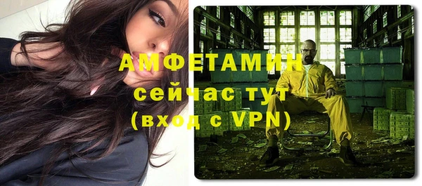 мдпв Вяземский