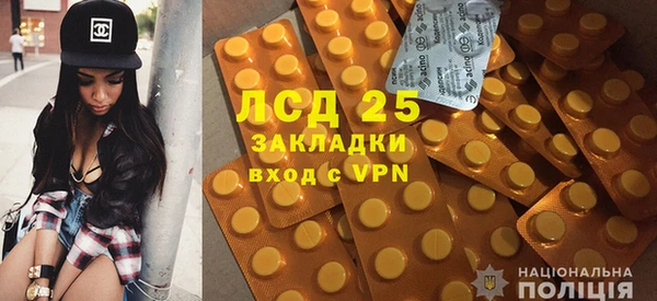 мдпв Вяземский