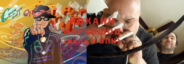 мдпв Вяземский