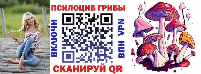 Галлюциногенные грибы прущие грибы  дарнет шоп  Петропавловск-Камчатский 